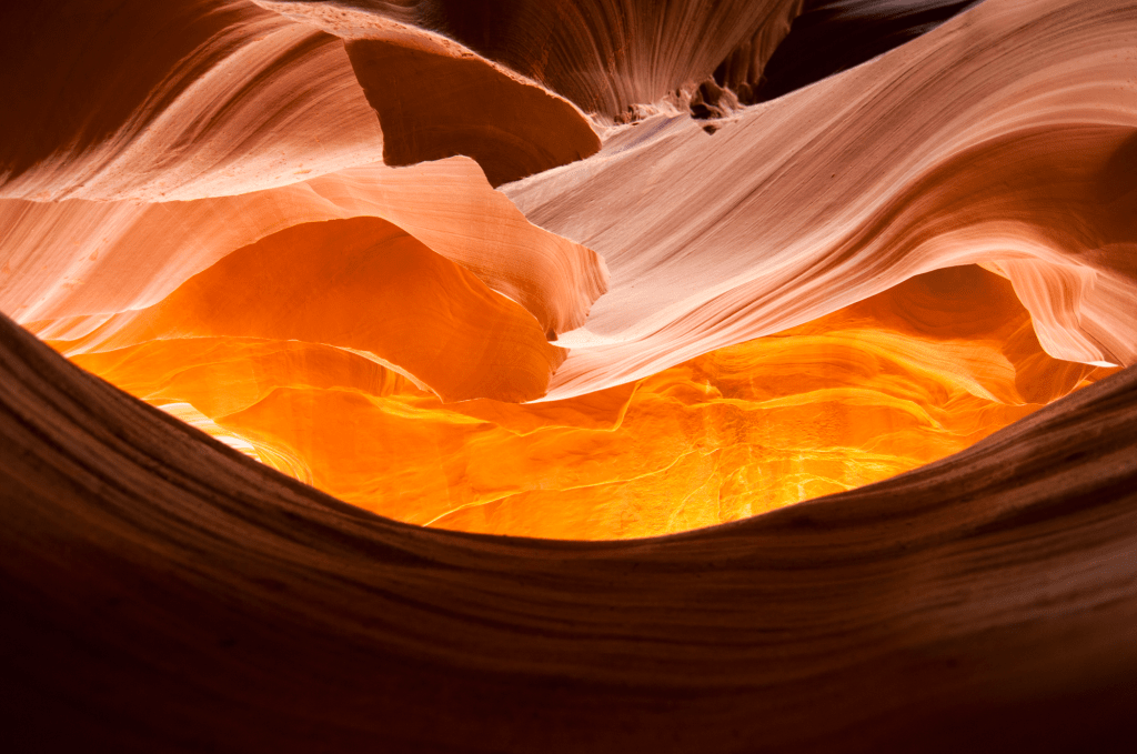 Can you see the baby? I sure do :)