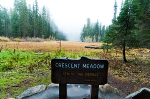 My favorite trail :)