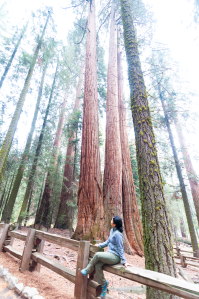 Me posing with the trees